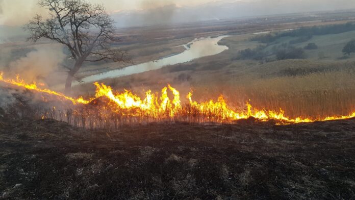 Nu igienizați terenurile prin incendiere