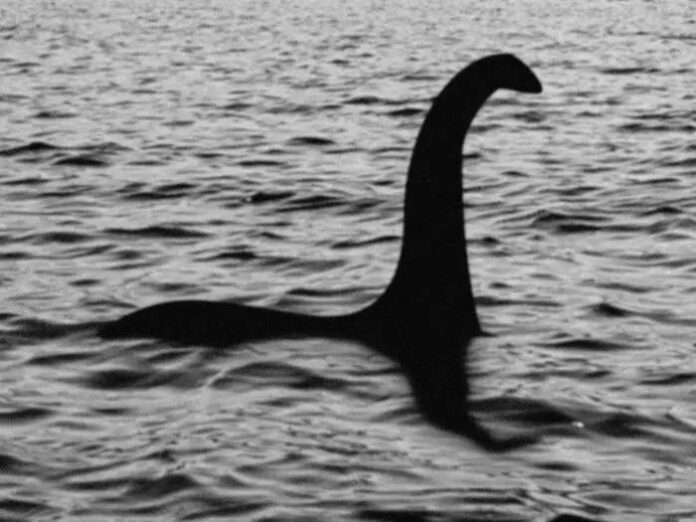Sute de voluntari l-au căutat pe Nessie