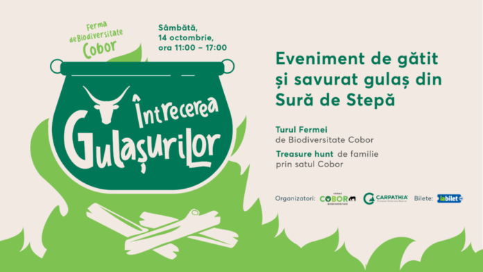 Se încing ceaunele. ,,Întrecerea gulașurilor” la Cobor