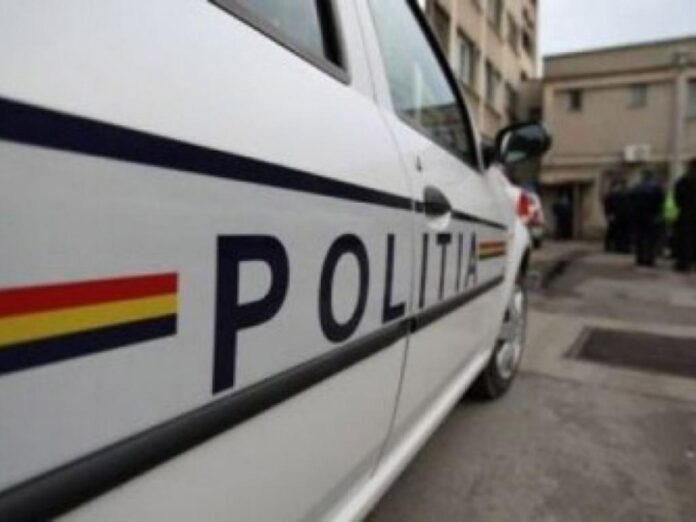 Amenzi de 84.000 lei după mai multe controale făcute de polițiștii brașoveni la agenți economici care se ocupă cu material lemnos