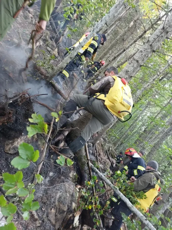 Incendiu în Poiana Brașov greu de stins