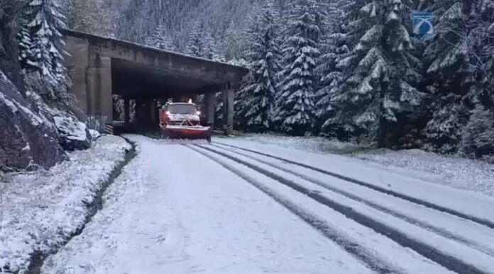A nins pe Transfăgărășan