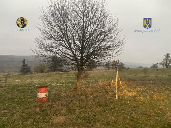 Un minor, forțat să lucreze la stâne și să abandoneze școala. Percheziții în județul Brașov într-un dosar de trafic de minori