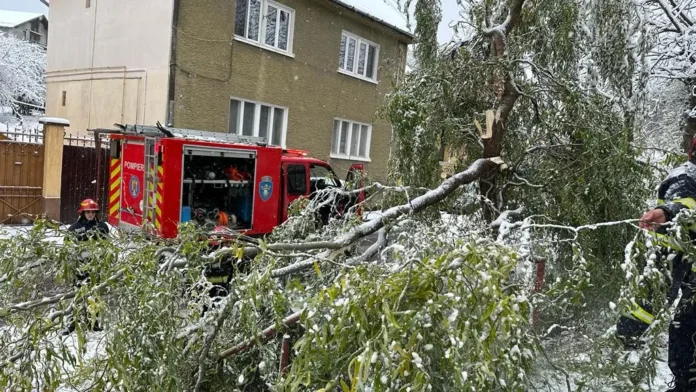Brașov: viscolul a pus 6 copaci la pămân