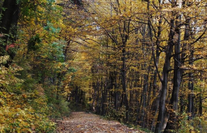 Prognoza meteo pentru săptămâna viitoare la Brașov