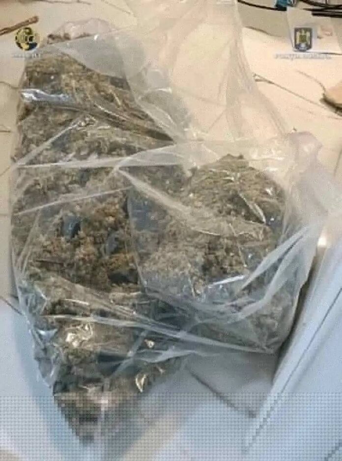 7 kilograme de muguri de cannabis au fost confiscate