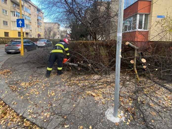 Copaci doborâți de vânt la Brașov