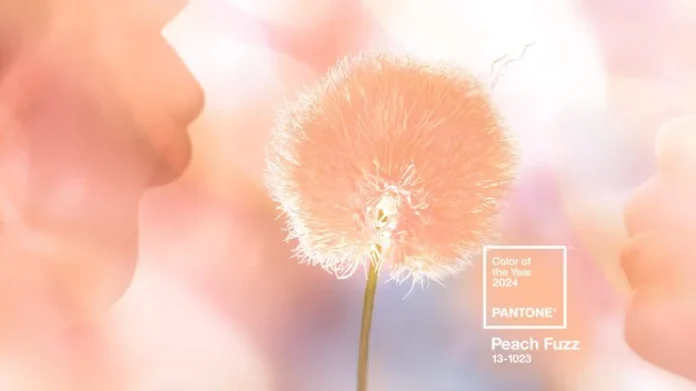 Culoarea anului 2024 este „Peach Fuzz”