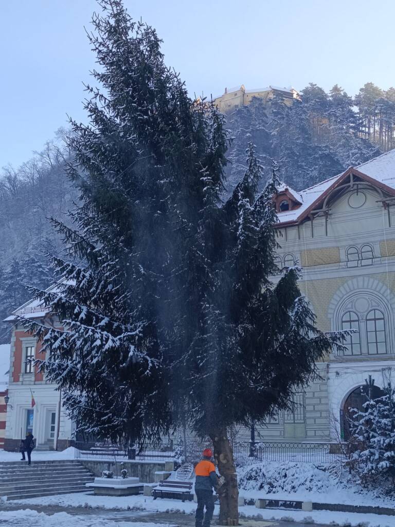 Bradul de Crăciun din Râșnov, ajutor de încălzire pentru o familie nevoiașă