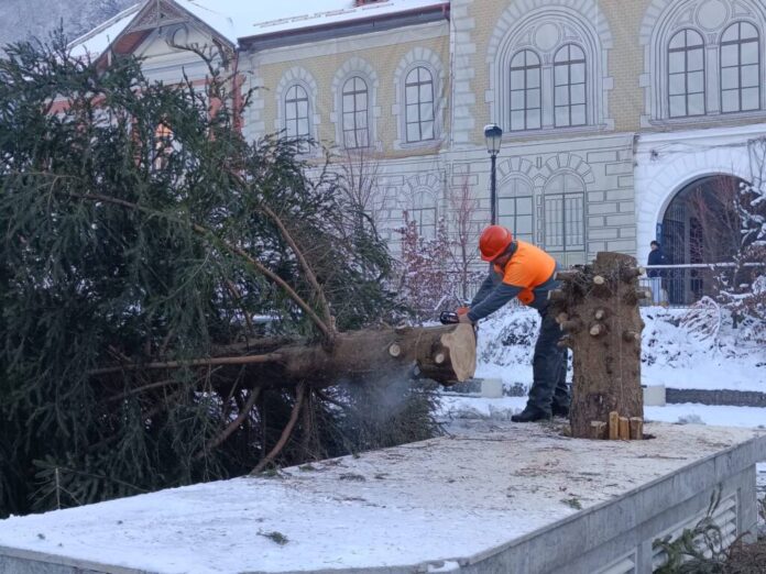 Bradul de Crăciun din Râșnov, ajutor de încălzire pentru o familie nevoiașă