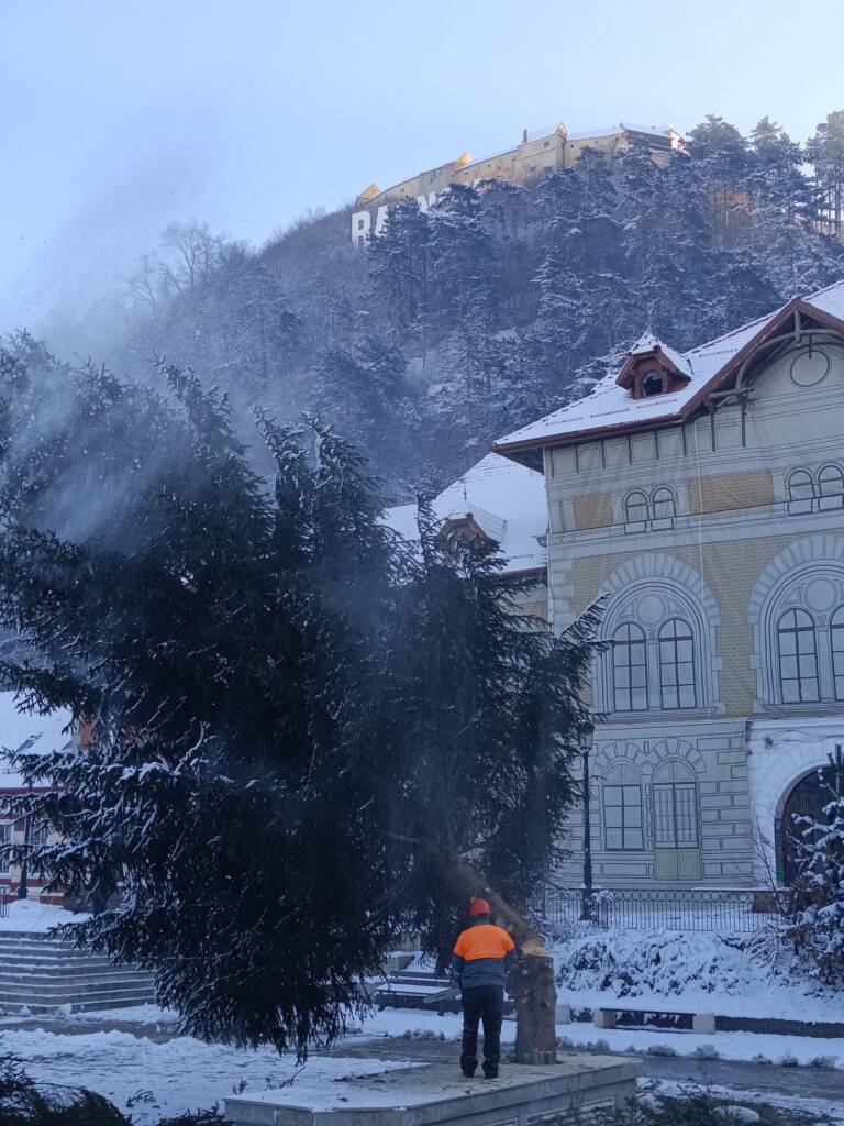 Bradul de Crăciun din Râșnov, ajutor de încălzire pentru o familie nevoiașă