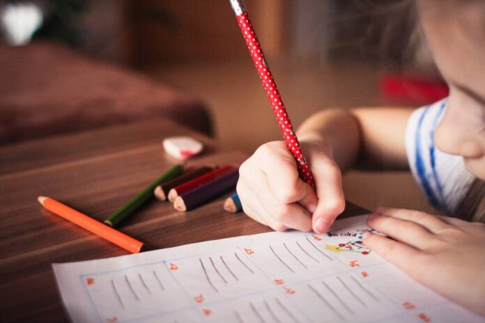 Din 8 ianuarie ar trebui să înceapă distribuirea în școli a tichetelor educaționale de 500 de lei