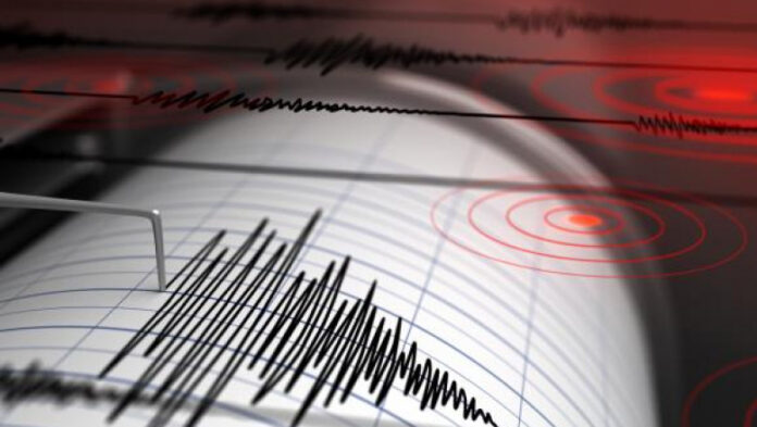 Un cutremur de magnitudine 3.1 a avut loc în zona seismică Vrancea