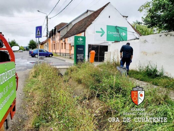 Treabă chibzuită: la Hărman, toaletarea copacilor și tunsul ierbii costă de 10 ori mai mult ca la Sânpetru