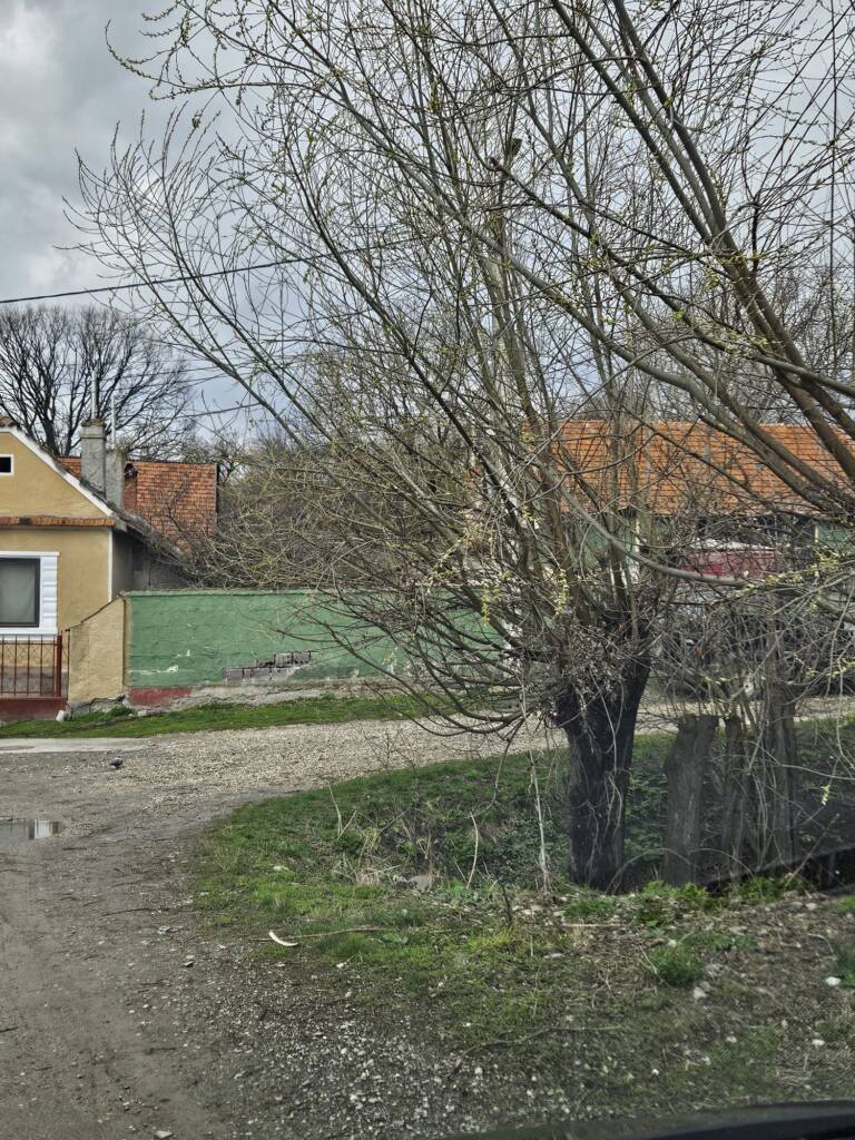Treabă chibzuită: la Hărman, toaletarea copacilor și tunsul ierbii costă de 10 ori mai mult ca la Sânpetru