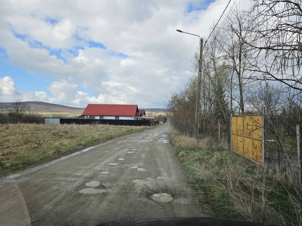 Treabă chibzuită: la Hărman, toaletarea copacilor și tunsul ierbii costă de 10 ori mai mult ca la Sânpetru