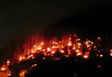 UPDATE / Incendiu de vegetație în zona Victoria
