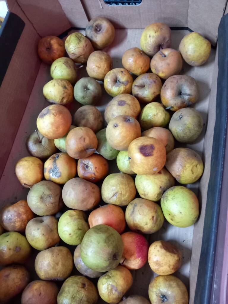 Un magazin alimentar din Brașov, amendat și închis temporar de Protecția Consumatorilor 