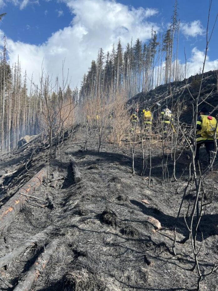 Continuă stingerea incendiului de vegetație izbucnit în munții Făgăraș: Au ars aproximativ 11 hectare de vegetatie uscată și litieră de pădure