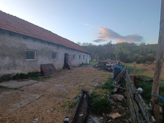 FOTO: Minor traficat, exploatat, agresat, ținut într-o cușcă, la o stână din județul Brașov