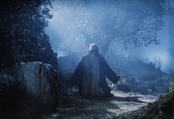 Locuri Sfinte: Grădina lui Iisus