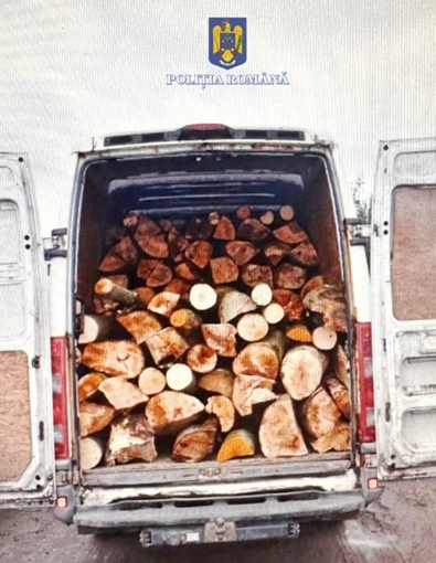 Transporturi ilegale de lemne, depistate de oamenii legii în zona pădurii Turzun și în Moieciu