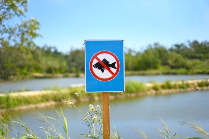 13 brașoveni, prinși la pește prohibit în zona lacului Dumbravița