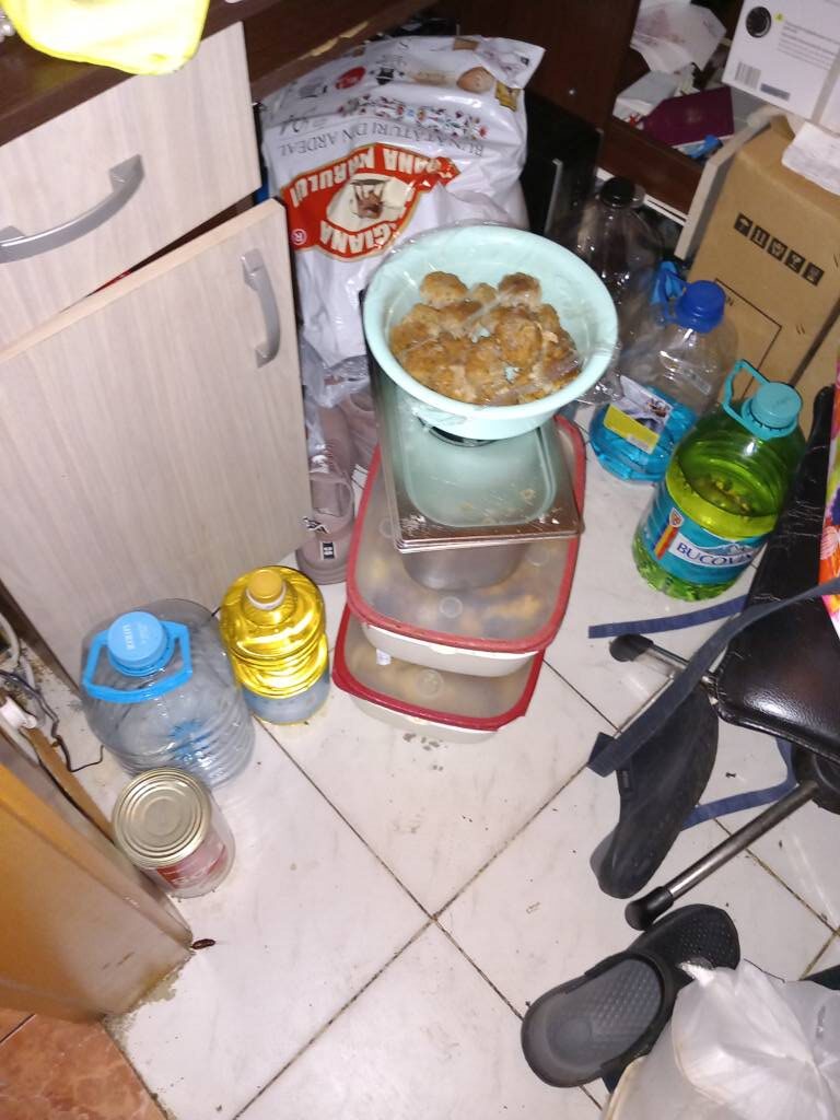 Gândac într-un meniu al restaurantului „La Mav”: Protecția Consumatorilor a dat amenzi de 30.000 lei și a închis temporar restaurantul