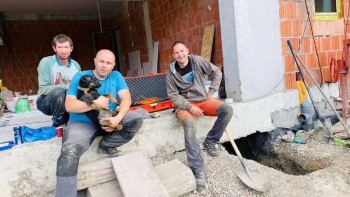 În Cluj, o cățelușă blocată într-o vizuină de vulpe a fost salvată după 8 ore