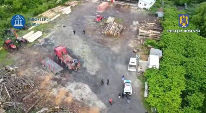 VIDEO: Percheziții domiciliare în județul Brașov la persoane bănuite de infracțiuni silvice