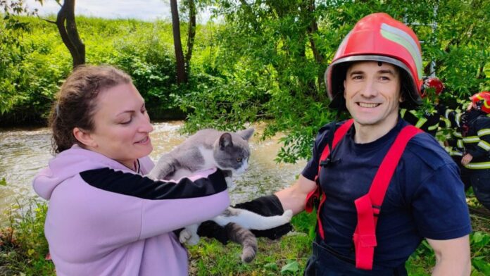 Salvatorii ISU Brașov au fost solicitați să intervină într-o situație deosebită