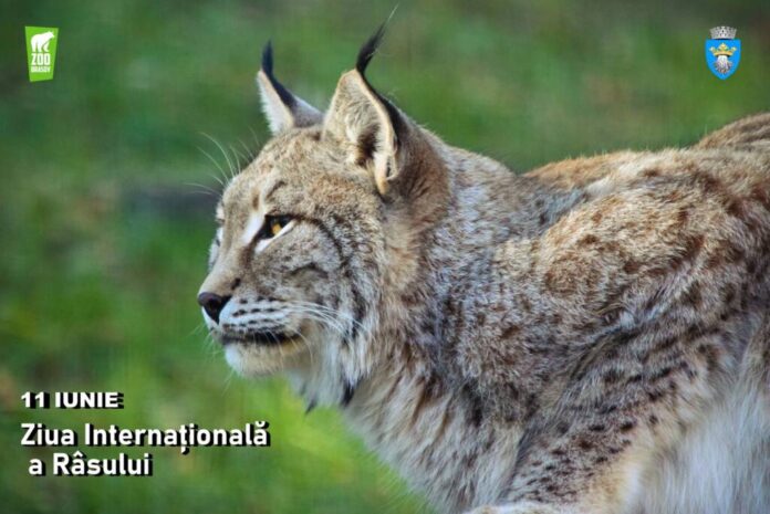 Ziua Internațională a Râsului, sărbătorită la Grădina Zoologică Brașov