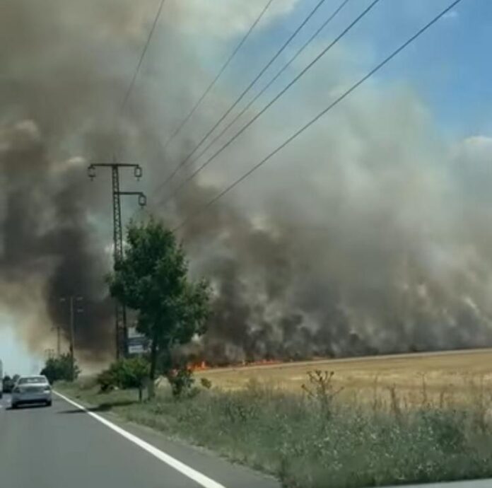 Incendiu de vegetație afectează traficul pe DN 1 Brașov – Ploiești