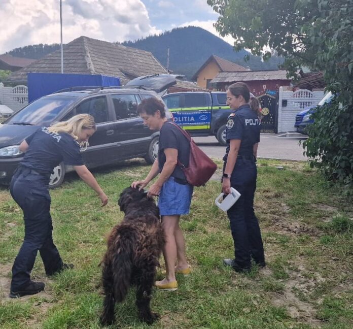 Activități de protecția animalelor desfășurate de polițiștii brașoveni