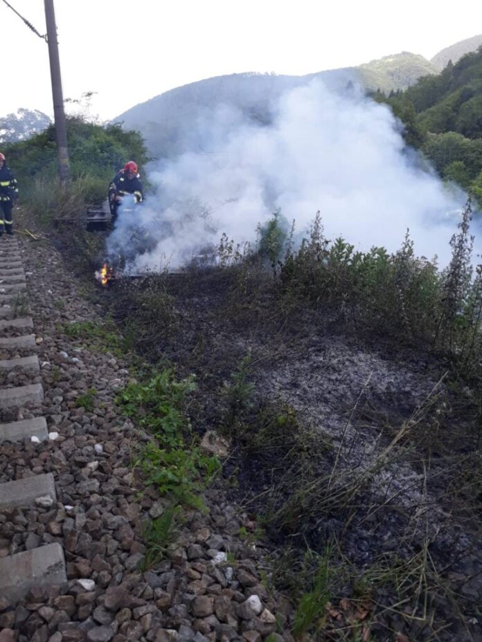 Incendiu la vegetație oprește temporar traficul CFR între Dârste și Timișu de Sus