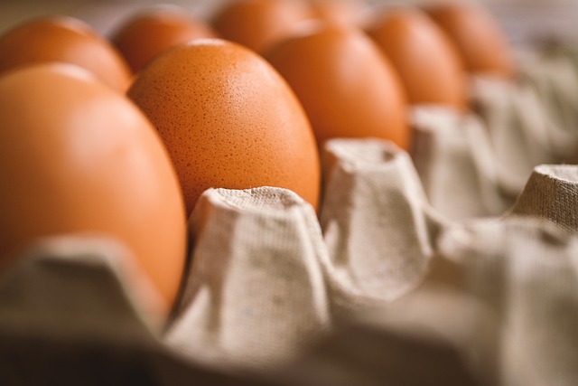 Și cel mai bun prieten al omului poate avea stomacul delicat: Cele mai bune și cele mai proaste alimente umane pentru câini