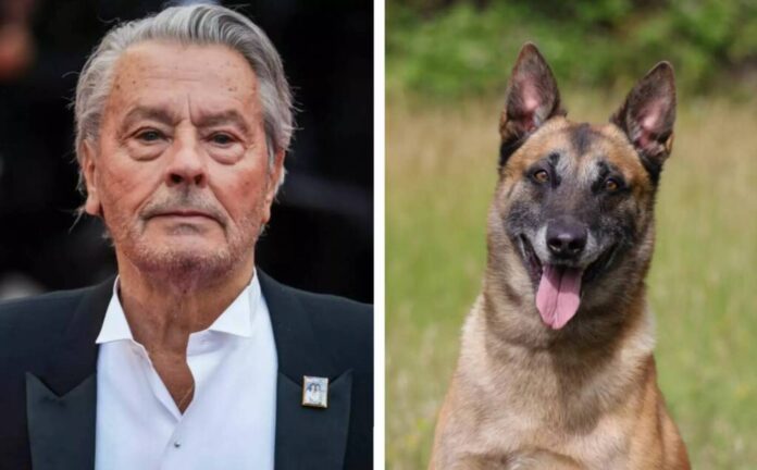 Familia lui Alain Delon nu eutanasiază câinele cu care actorul dorea să fie îngropat