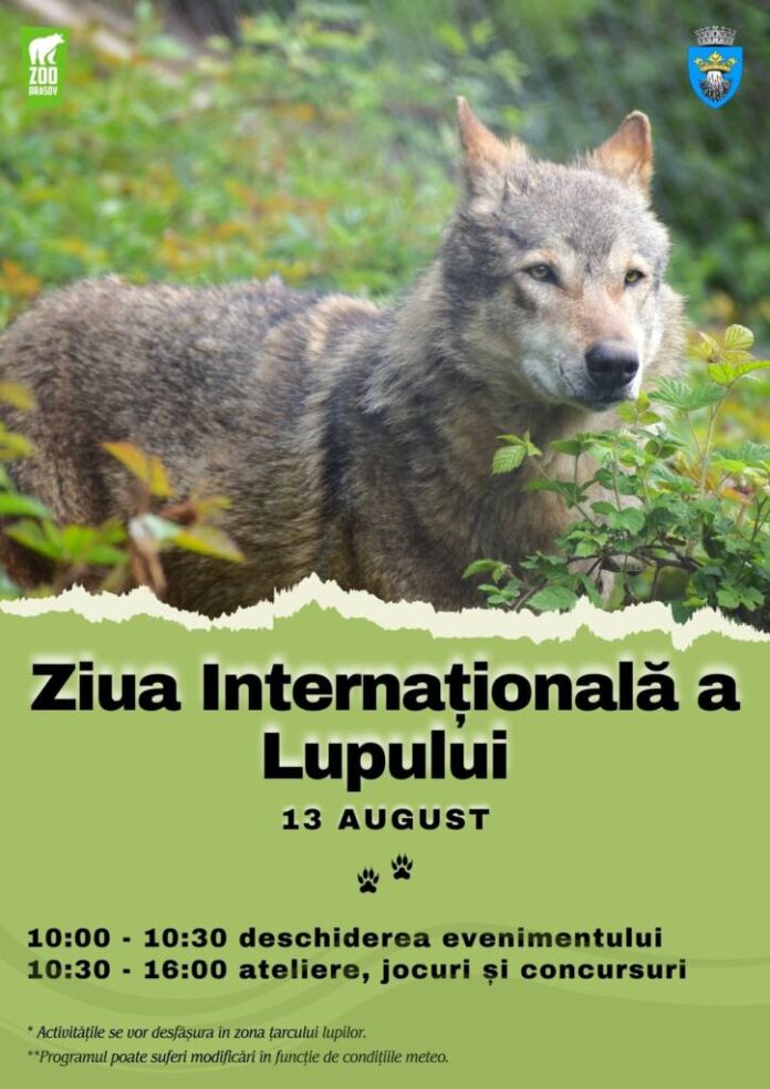 Ziua Internațională a Lupului, sărbătorită de Grădina Zoologică Brașov