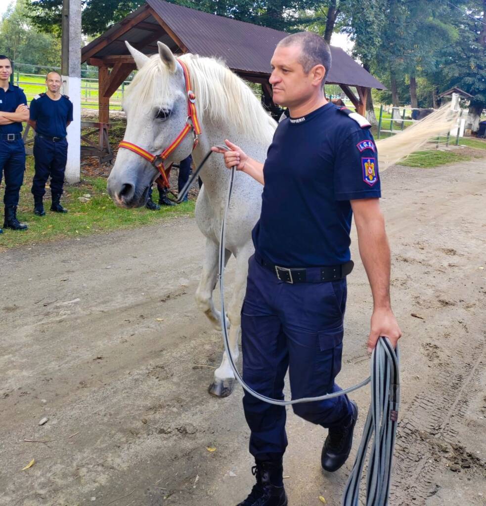Pompierii s-au pregătit la Făgăraș pentru salvarea animalelor din medii ostile
