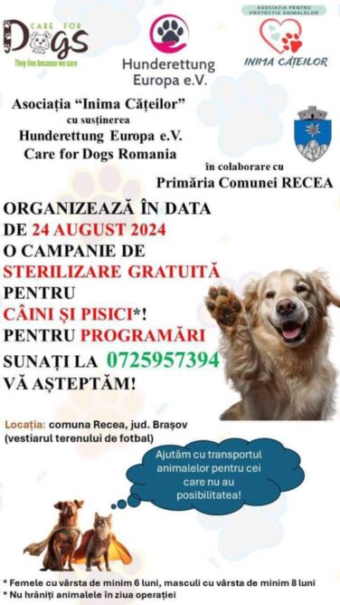 Sterilizare gratuită pentru câini și pisici, la Recea