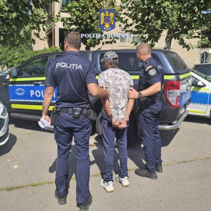 Un bărbat din Ghimbav a ajuns la închisoare după ce a omorât un câine