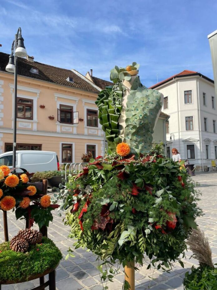 Festivalul florilor Blumenfest, în Piața Sf. Ioan din Brașov