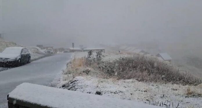 Ninge pe Transfăgărășan