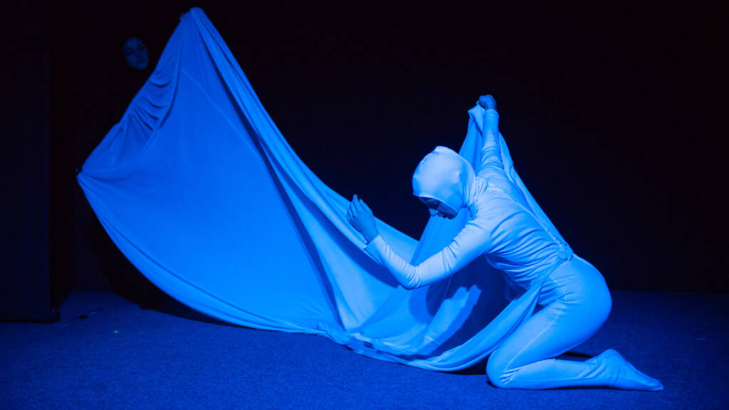 Teatrul Arlechino Brașov prezintă „Metamorphose” la două festivaluri internaționale 