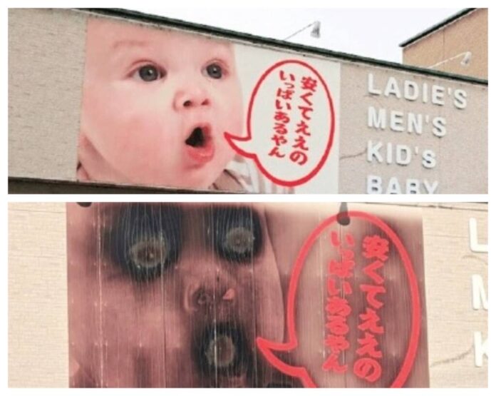 Căldura verii a transformat o imagine adorabilă într-una horror