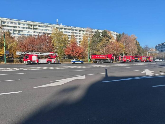 Un tânăr a fost amendat cu 1000 de lei pentru că a transportat lemne fără documente legale