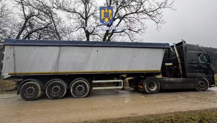 Ansamblu de vehicule, oprit de polițiști pe DN1A, cu aviz în care scria că transportă cereale, dar transporta lemne (VIDEO)