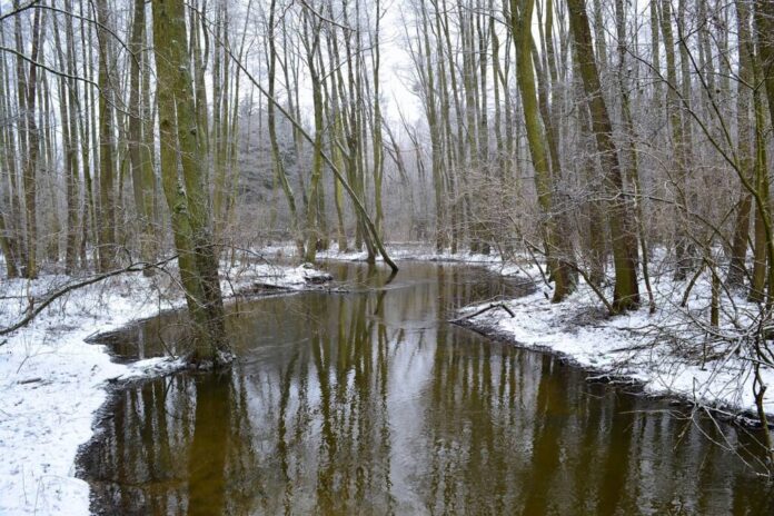 Ianuarie surprinde: Prognoza meteo pentru următoarele patru săptămâni