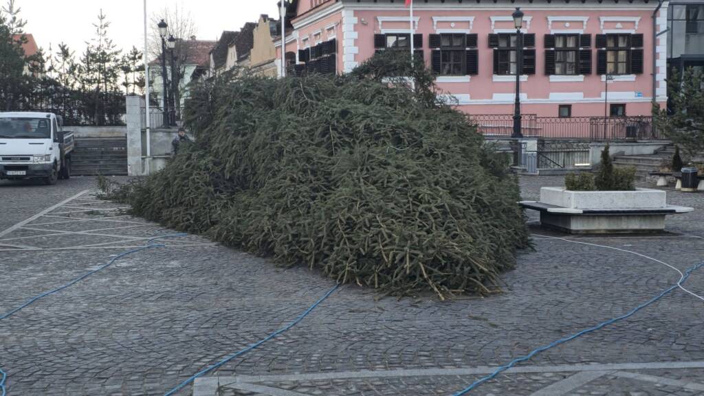 FOTO: Bradul de Crăciun din Râșnov, transformat în lemn de foc și donat unei familii sărace