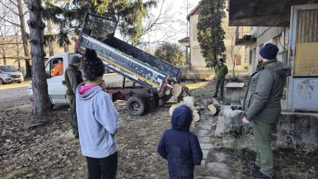 FOTO: Bradul de Crăciun din Râșnov, transformat în lemn de foc și donat unei familii sărace